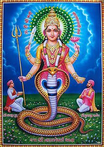 Nagnechiya Mata Nagana History : Kuldevi of Rathore – Advocate D.S ...