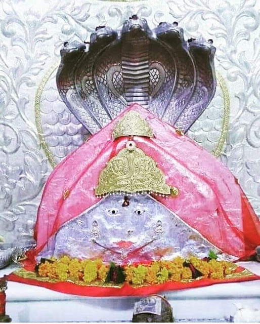 nagnechi mata photo nagnechi mata photo